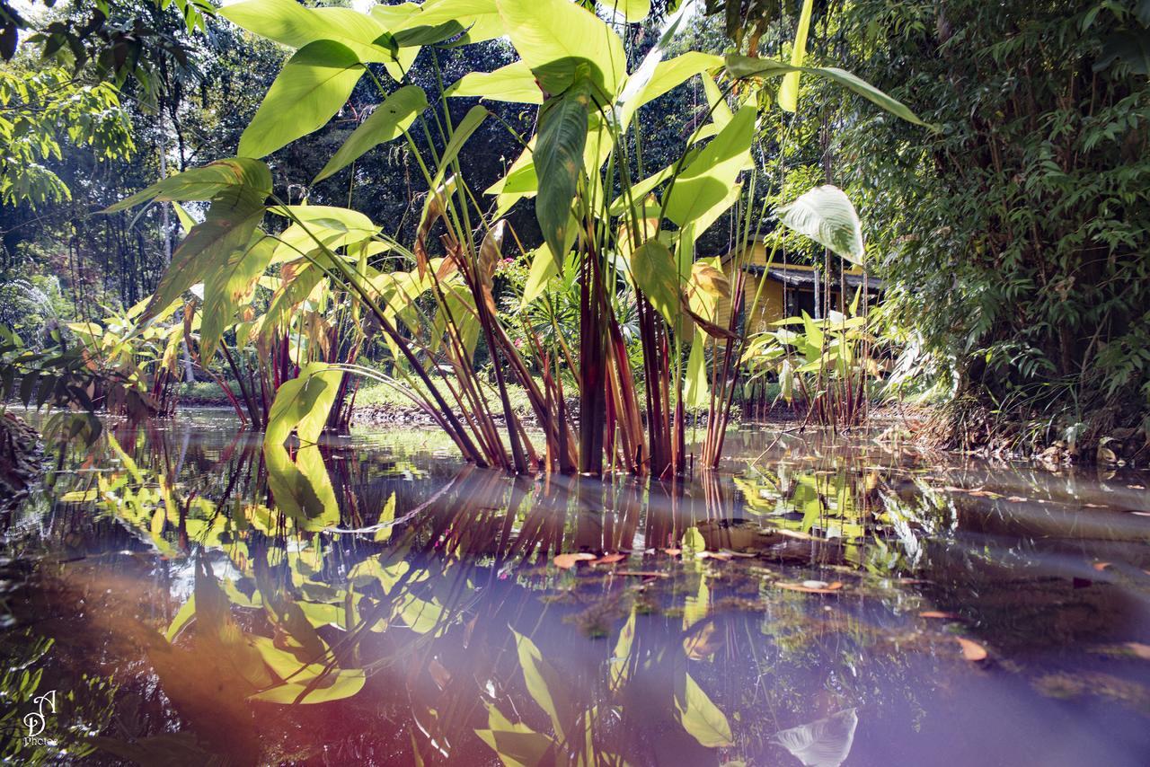 Garden Of Joy Hotel Koh Chang Exterior photo